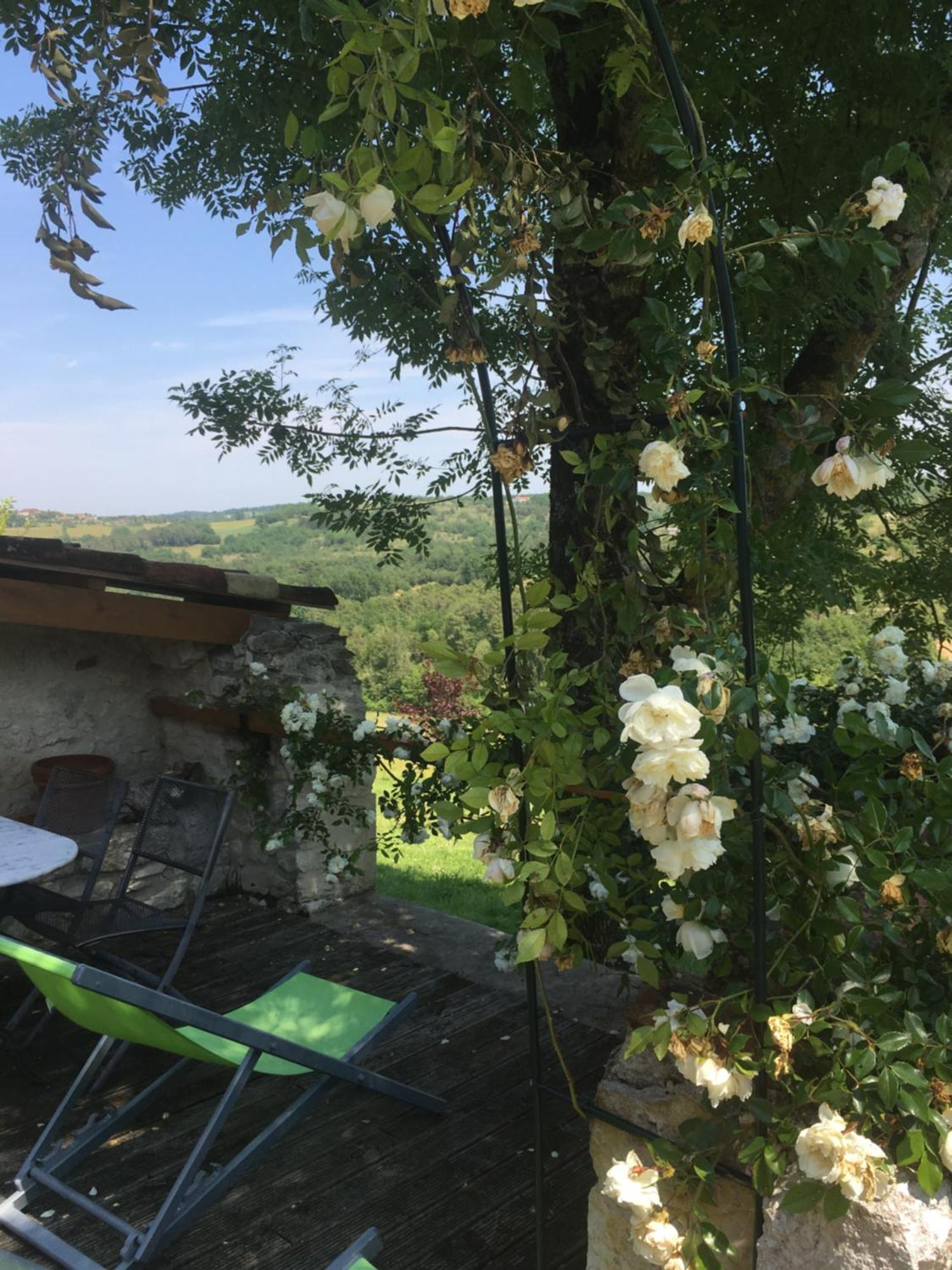 Le Mas Des Papillons Fargues  Exterior photo