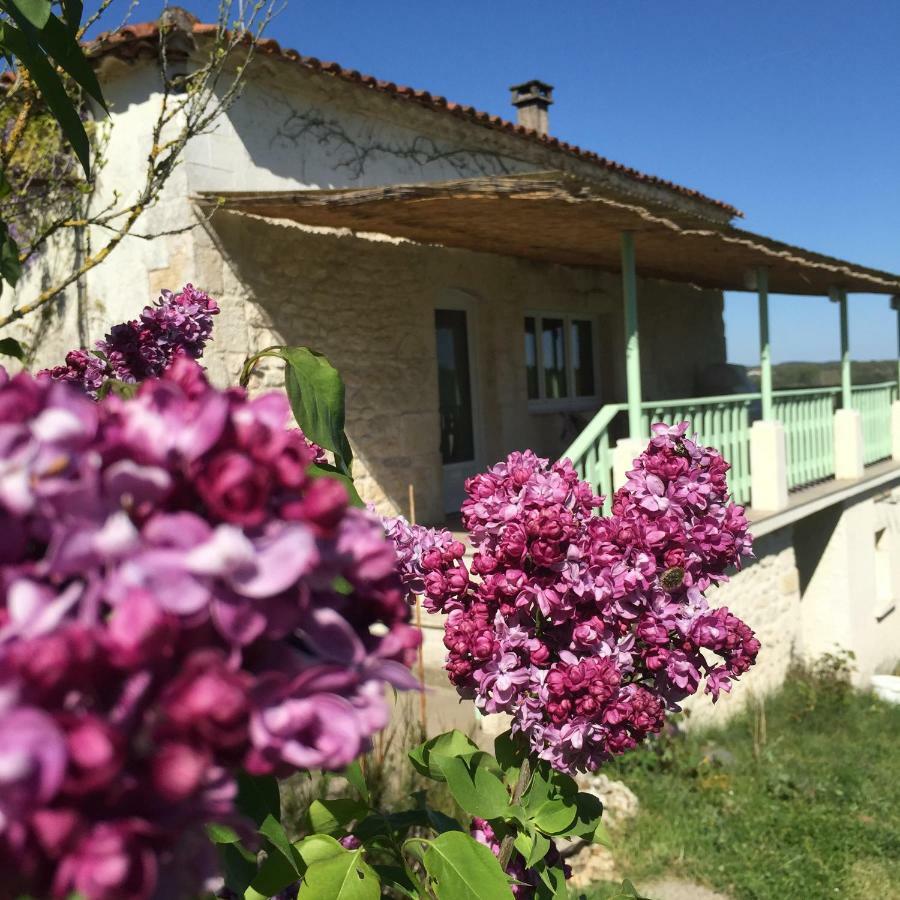 Le Mas Des Papillons Fargues  Exterior photo